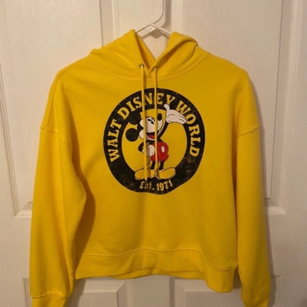 Mickey Walt Disney World Hoodie